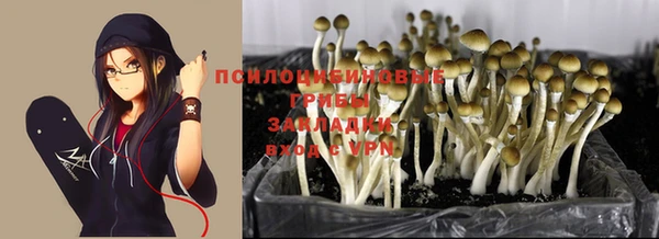 мдма Волосово