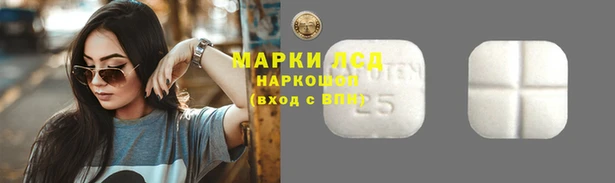ГАЛЛЮЦИНОГЕННЫЕ ГРИБЫ Волоколамск