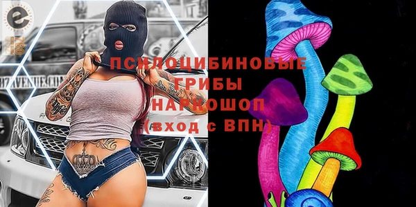 ГАЛЛЮЦИНОГЕННЫЕ ГРИБЫ Волоколамск