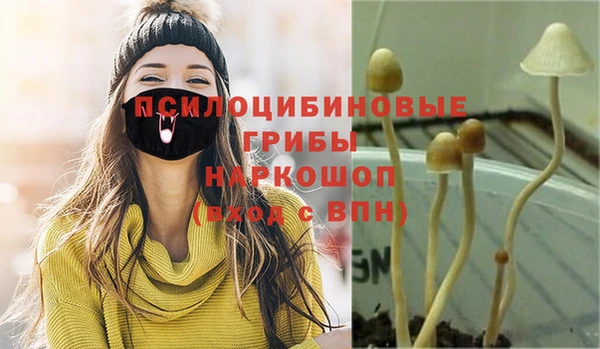 каннабис Верея