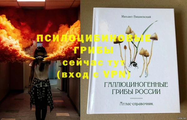 ГАЛЛЮЦИНОГЕННЫЕ ГРИБЫ Волоколамск