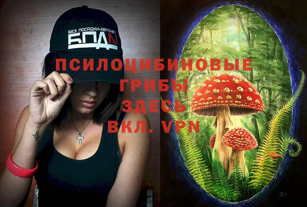 каннабис Верея